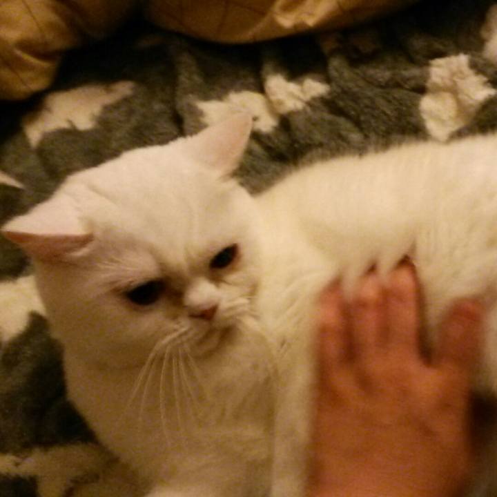 0e308508 02f3 4a49 bc50 232ada37139e 1524050252625