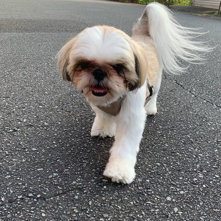 0e30b3fe 6852 406a be2c 47a5d8902180 1597617855862