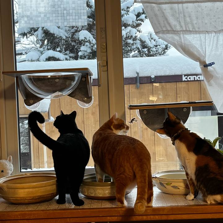 0e30ddbe af0a 480c 8ac4 2ef0b3cab013 1703801901820