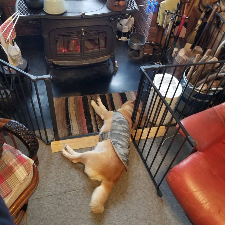 0e30dffe f1e5 4417 a03f c042f57835a3 1645142846417