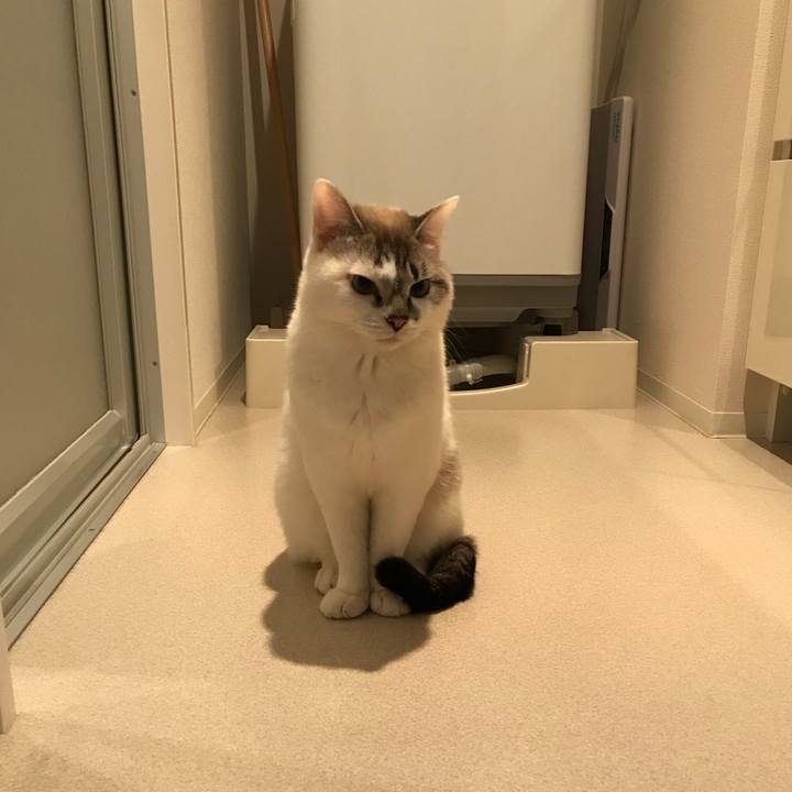 0e30e3f3 9348 4a54 a543 c2976d604e92 1521590215024