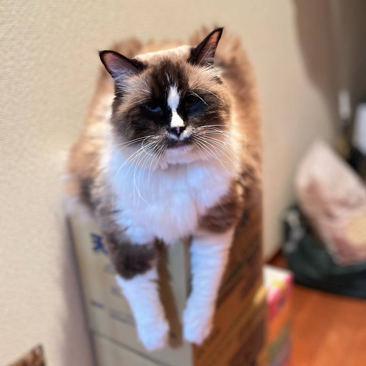 0e30ee23 facb 4a33 abbb 93da288d495c 1708433187050