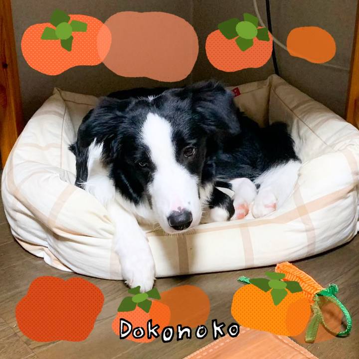 0e3108a1 b17f 4274 80de 65d92c5b3d86 1761638803634