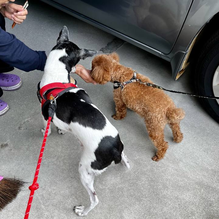 0e312e59 1d93 4193 b4f1 40345de84d85 1634433458358