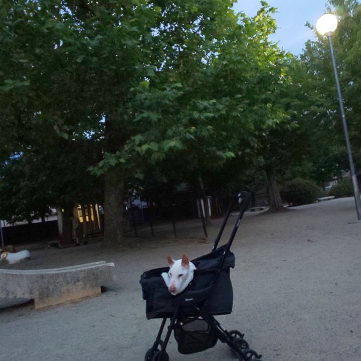 0e31ae25 e076 453d b802 579074e02699 1592216684122