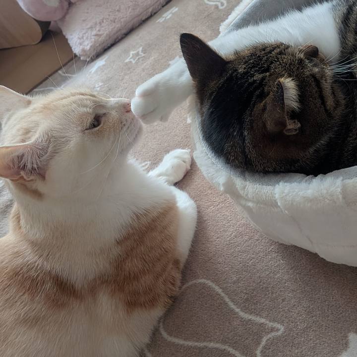 0e320424 ede7 475d ac8b feed81a7abc6 1762577649720