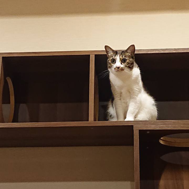 0e321f2e ee73 428e ba49 b04036724936 1691941248923