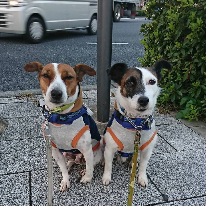 0e322c8f 8501 4343 be35 37d7d90e5d61 1573858555852