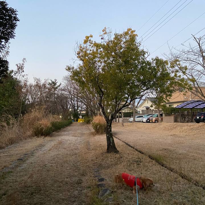 0e32531c 91ac 407e 8572 becb741e8ef4 1612389528473