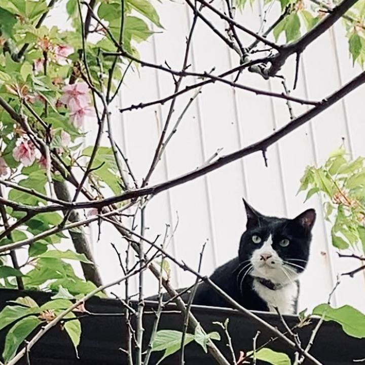 0e325fc4 3c8b 479a ab28 a8a450dbb37b 1742958359612