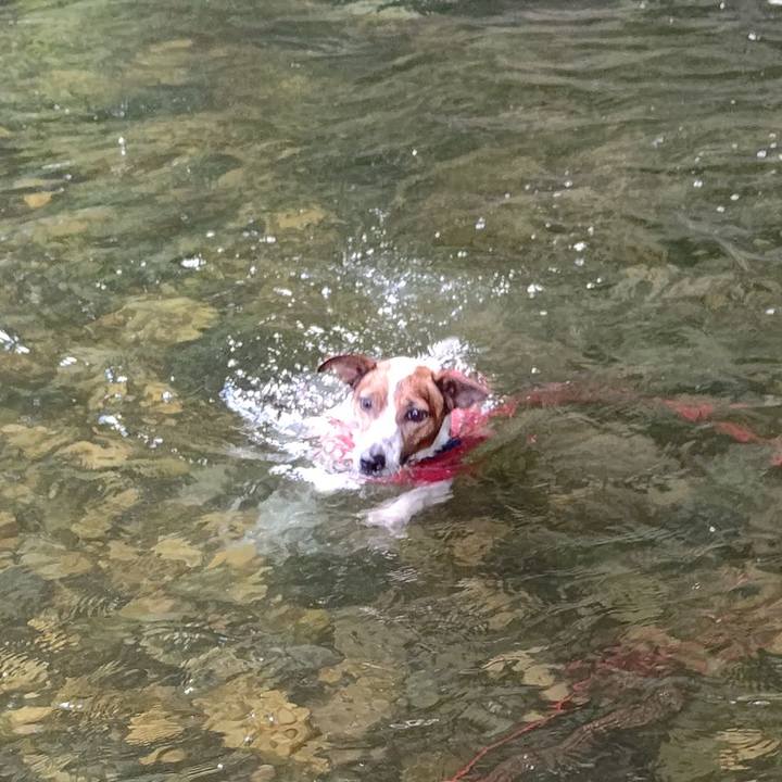 0e3266c3 6a86 4537 91fa 6469a9b82e85 1691322129441