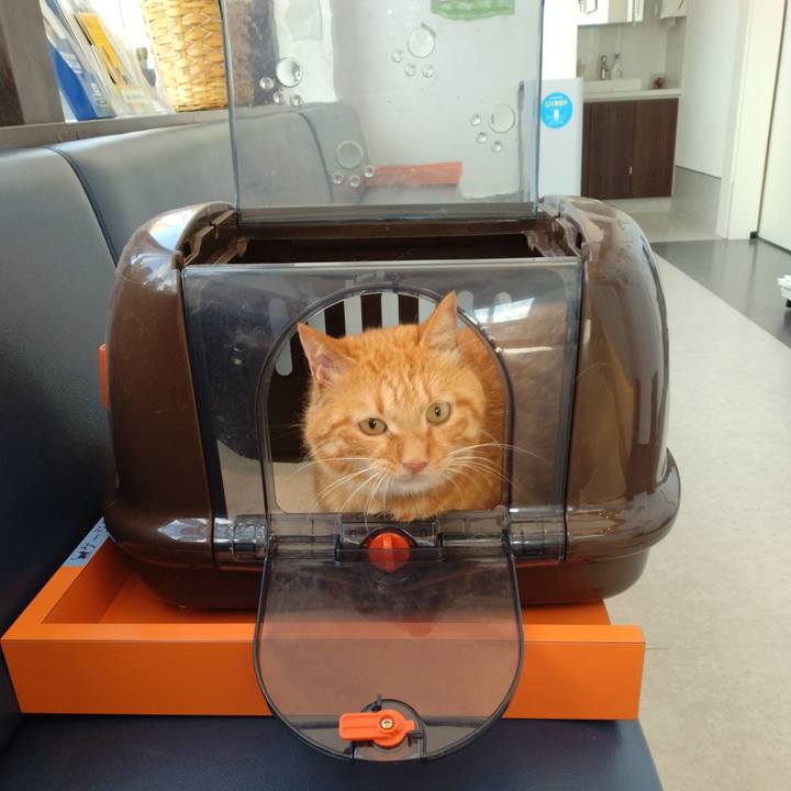 0e327d45 12ee 40ce a6fd 287f71166fa6 1723883676422