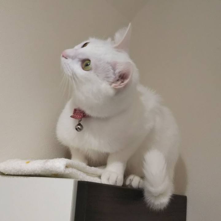 0e32ab05 4059 4003 b286 e3d047135d0a 1635838514238