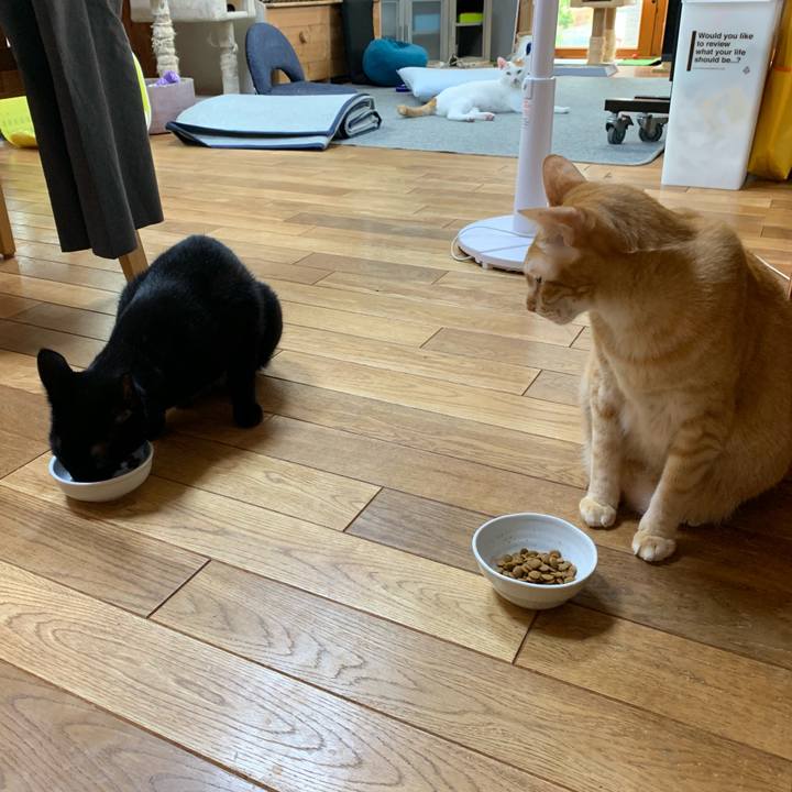 0e32b0b3 5ed0 4a87 80b6 706484ace2d3 1562536066746