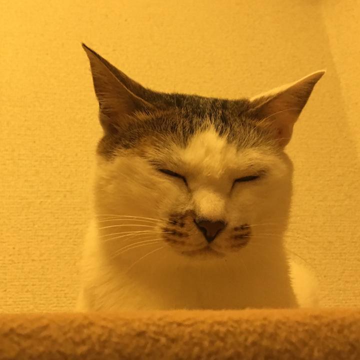 0e32c3b3 2d40 4c00 b03a c5c3905a9caf 1535383638890