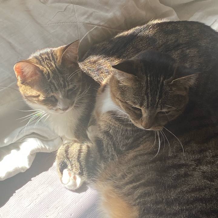 0e32d283 b2e2 456d b650 98add017d8e7 1647254438511