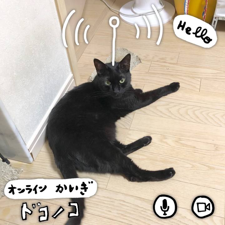 0e32d994 0782 43a8 8ad2 5f047ba9d725 1590682396237