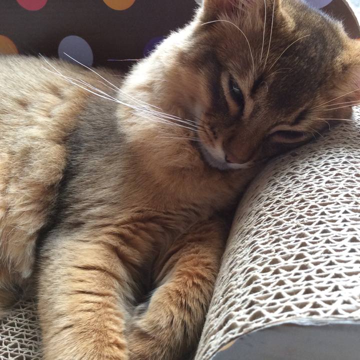 0e32e852 977e 4165 a34a 383bbb1218a6 1576546486181