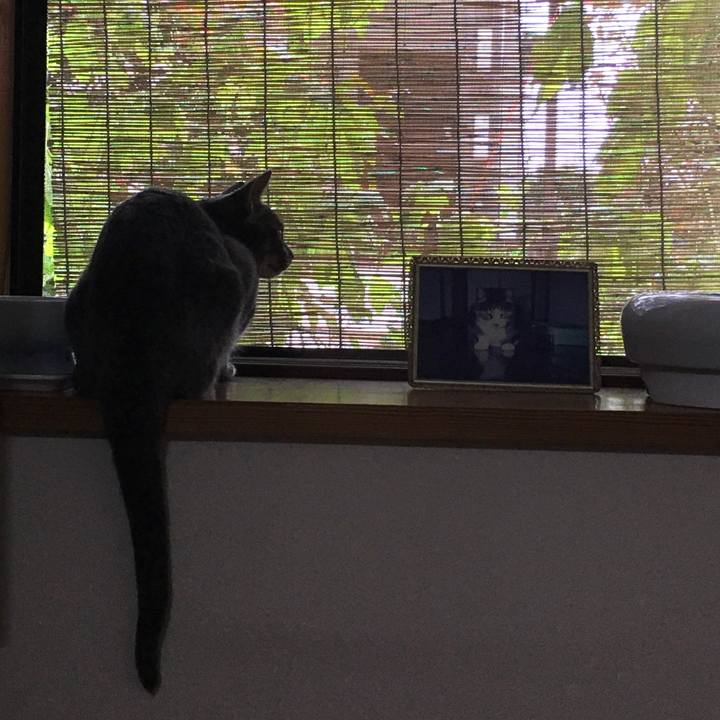 0e33ac6e 4232 490f 86cd 4c270542d59b 1593817707204