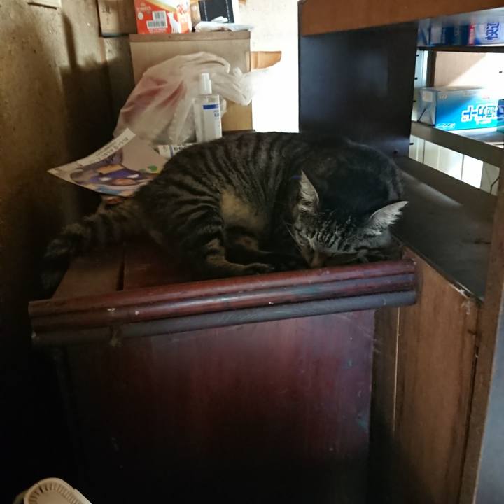 0e33cf8d b739 4426 aa7e 0fa209f5d6da 1658783294134