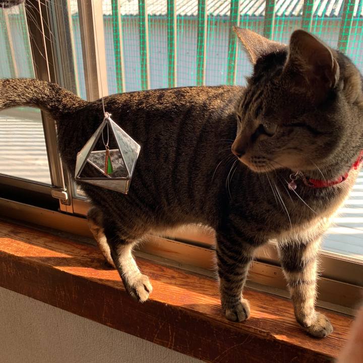 0e33fb50 dfd3 479c 8894 2048b9efc96d 1544794916704