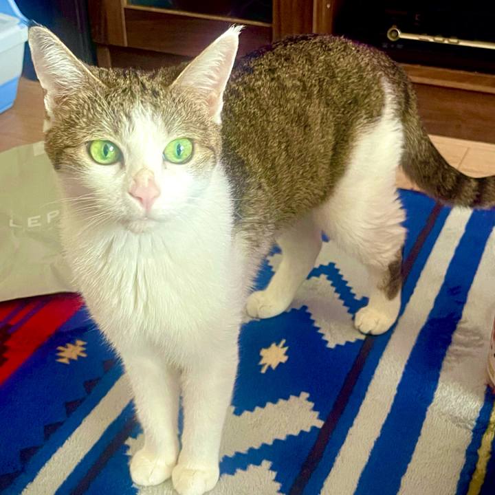 0e344e7a 8f24 4e41 886f 6aae50c44510 1627878598426