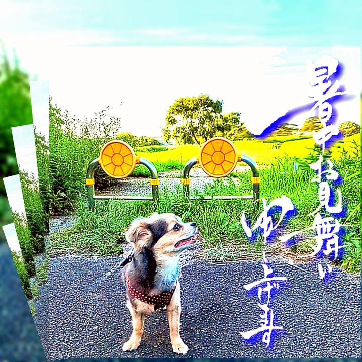 0e344ec3 1758 4a21 88c4 cdf2ce25d639 1689726687723