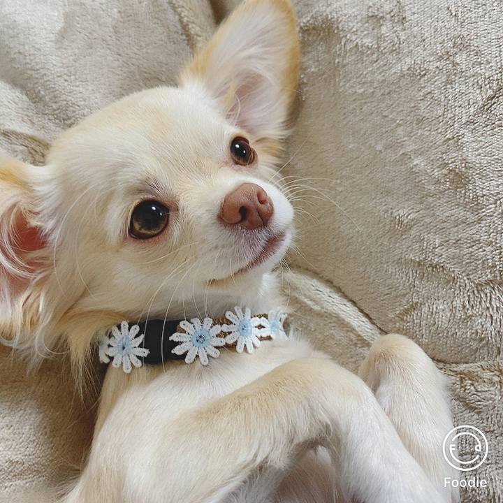 0e3461bd 1cf3 4b52 a7fa 17a7716ee768 1605148024851