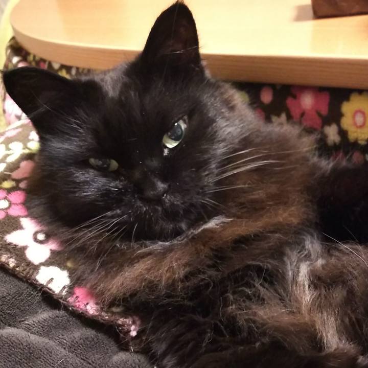 0e347769 3893 4667 8f40 8683884b54ad 1554380608028