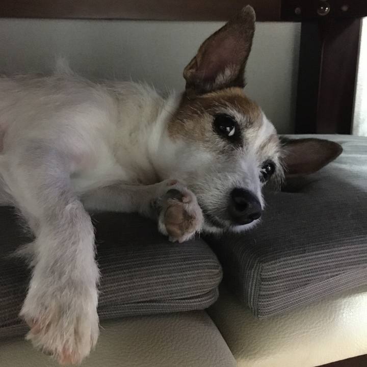 0e347fe5 dad6 436d afd6 00d00a82233f 1655513780379