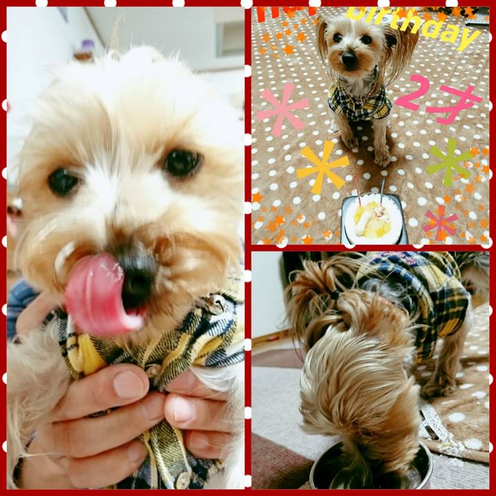 0e348e8d da72 4b15 b03b ac60cc1d2b5a 1516282389420