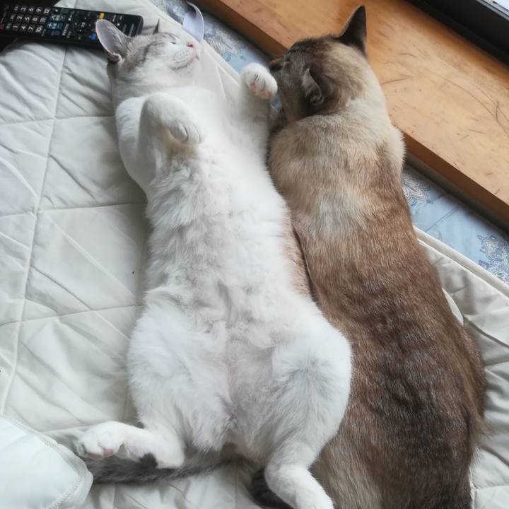 0e349fa0 bdfd 4d38 87bc 346a06c99d10 1536454412158