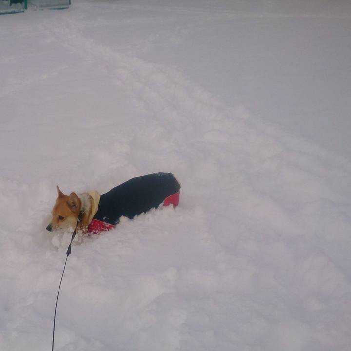 0e34b2c6 472d 4acb b886 0b3103594f6b 1516700385556