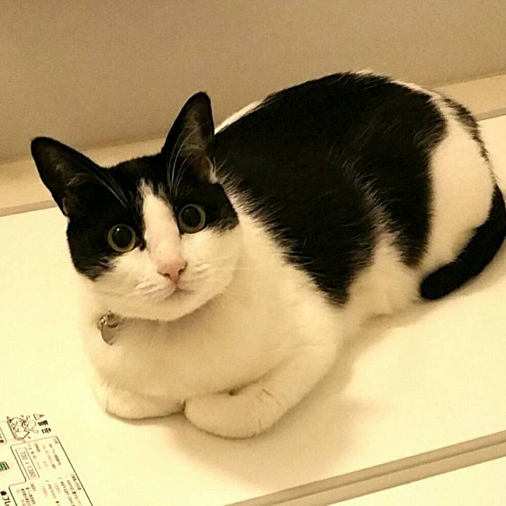 0e34cf32 27ef 435e aa05 5356256876e1 1573601650074