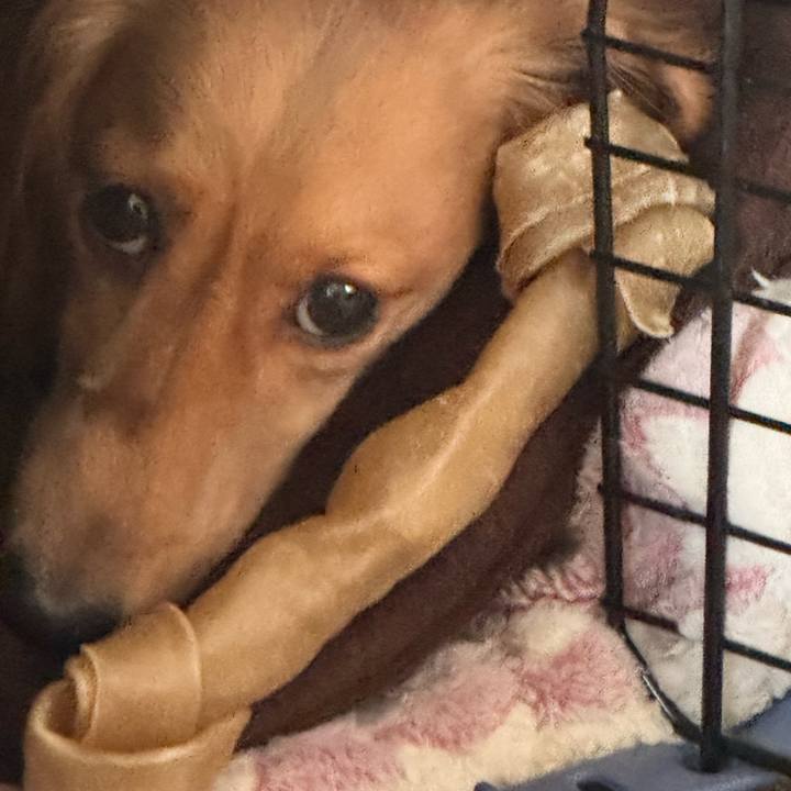 0e34ef13 ff03 499d 8845 baff3d10581d 1757215369209