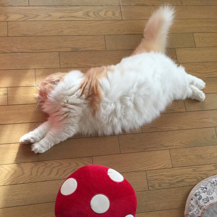 0e34f2b0 fe6c 4a34 af56 018835086bf8 1521758133050