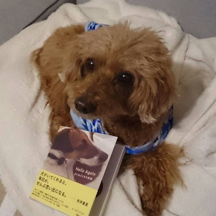 0e3538b7 c33a 4068 a022 1f9a43f9bbe4 1523235382156