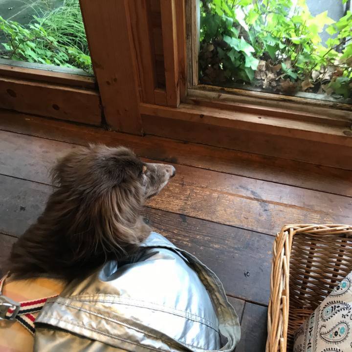 0e3585b1 e3f2 4e44 b442 de6b30249b32 1660542219325