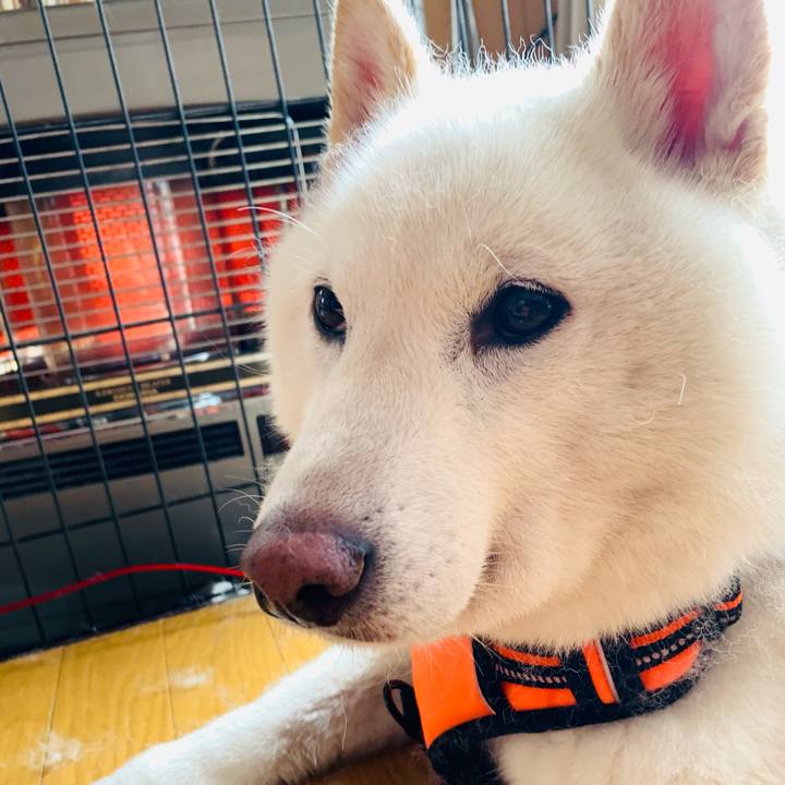 0e35af55 ff87 4169 abe0 b5582c59f6b5 1615419536761