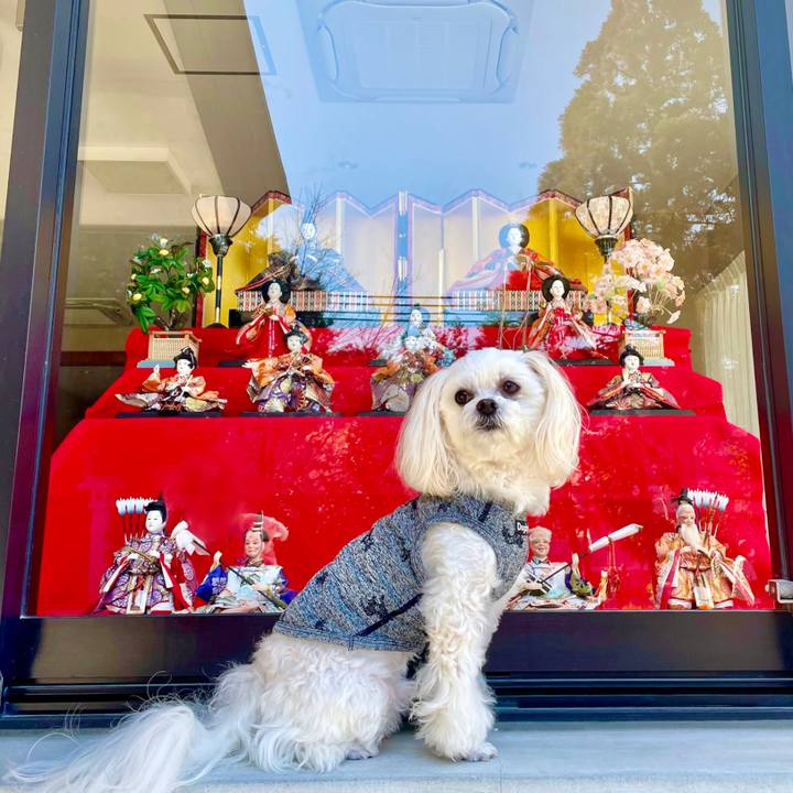 0e35b7e5 e592 4b18 9c60 487df1986cff 1646276319255