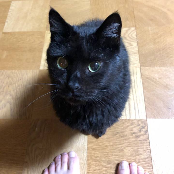 0e35bd5e 4c57 418d 8767 deb9758cde39 1592395237833