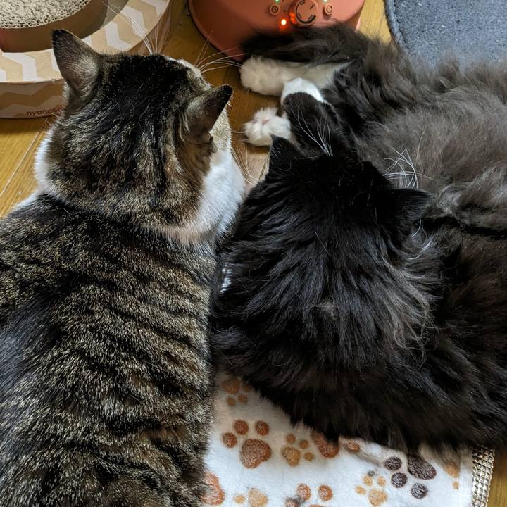 0e35bdaa f77e 44a8 8500 3a2349213792 1704280010336