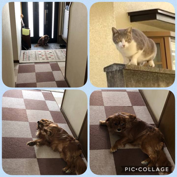 0e35f38b ffbb 4609 8f39 0b93416c9e78 1612008339084