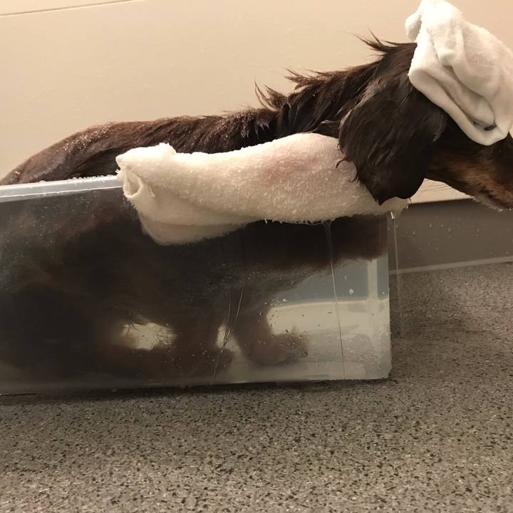 0e363dad fae3 441b 999e bc171a24119d 1569637633621