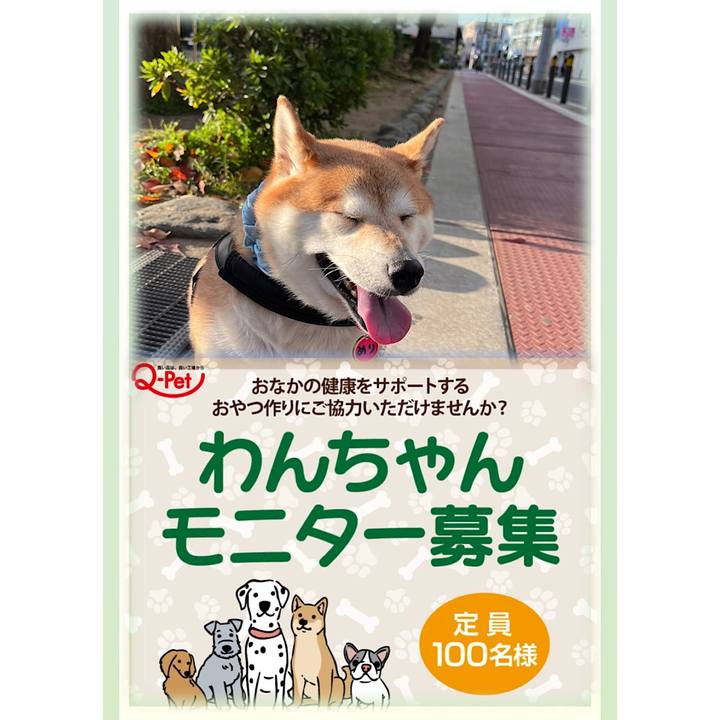 0e36591b 7c35 4b32 b0b2 678e62fa63dd 1667524019079