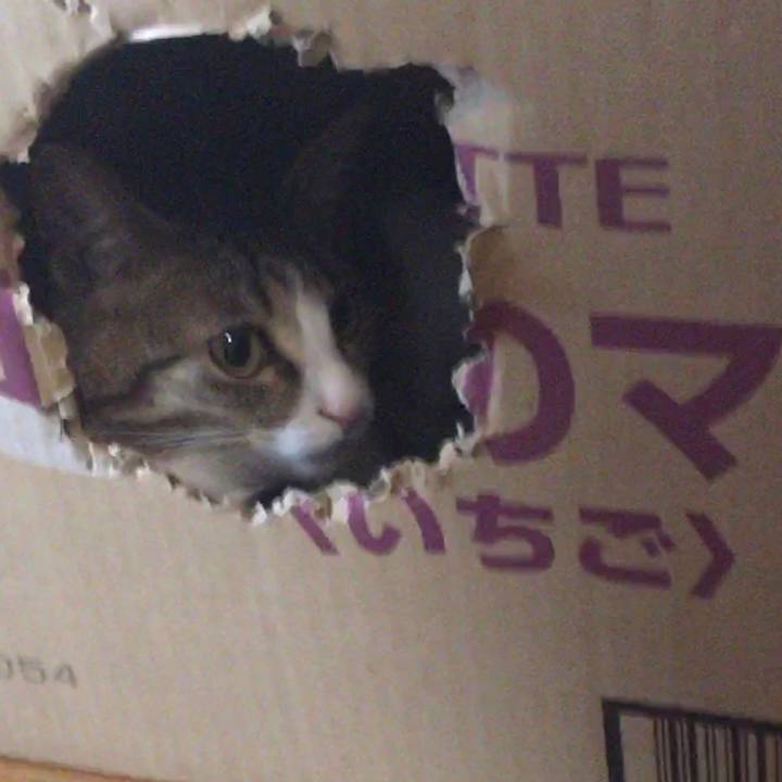 0e36878e b570 4e42 ae0a 5eef34829731 1683798187575