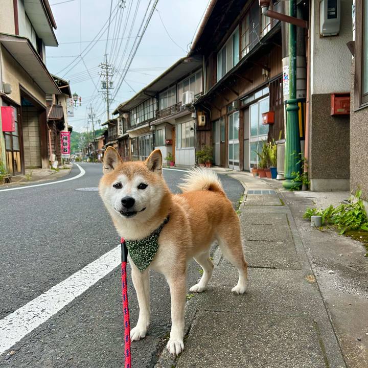 0e368dc9 499f 4ec9 9a94 cc00d1720bc7 1719226981952