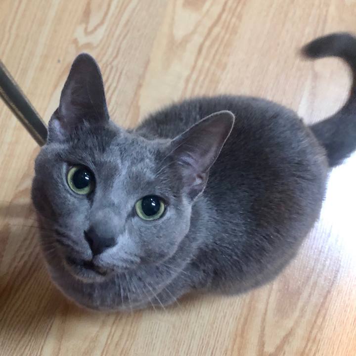 0e36c956 54fa 473a 870a 1e25d003bd46 1587287949021