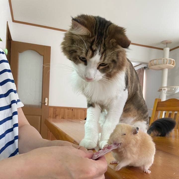 0e36cc4a e893 40c8 8ebc 29707bd686fa 1659560225930