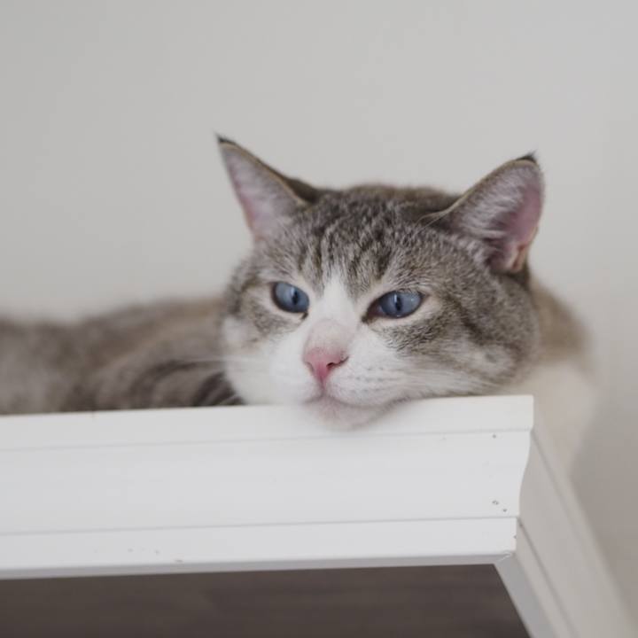 0e36d264 f9bf 4e82 9105 041d279db9ce 1625981960169